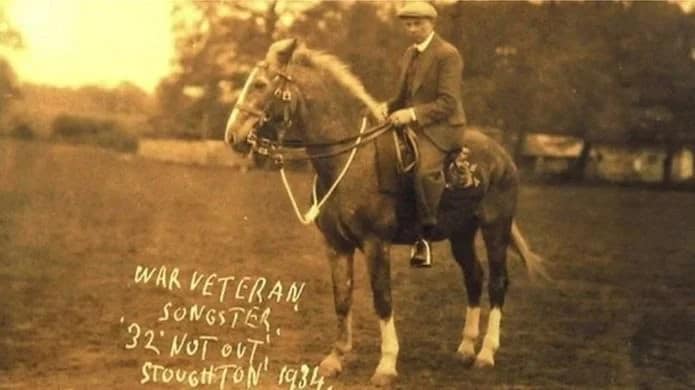 most decorated horses of World War One